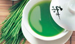 xiaomaichao
